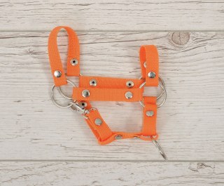 Kantar dla konia Hobby Horse A4 mały zapinany - pomarańczowy