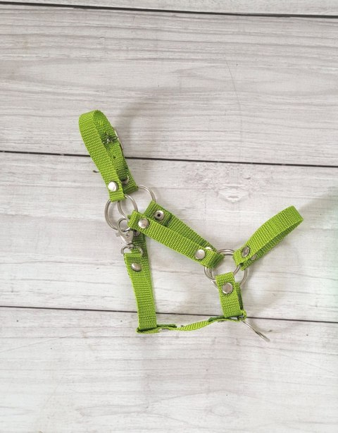 Kantar regulowany dla konia Hobby Horse A3 - limonka Kantar regulowany dla konia Hobby Horse A3 - limonka