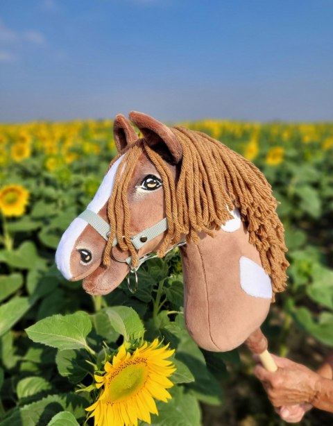 Hobby Horse Duży koń na kiju Premium - western II gniady z brązową grzywą A3 Hobby Horse Duży koń na kiju Premium - western II gniady z brązową grzywą A3