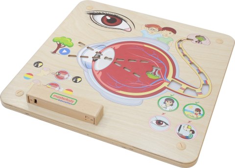 MASTERKIDZ Tablica Edukacyjna Zmysł Wzroku Montessori MASTERKIDZ Tablica Edukacyjna Zmysł Wzroku Montessori