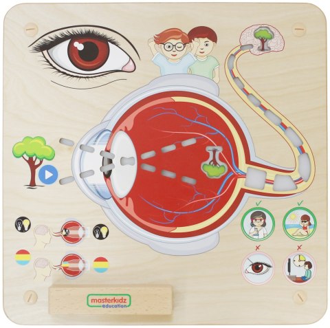 MASTERKIDZ Tablica Edukacyjna Zmysł Wzroku Montessori MASTERKIDZ Tablica Edukacyjna Zmysł Wzroku Montessori